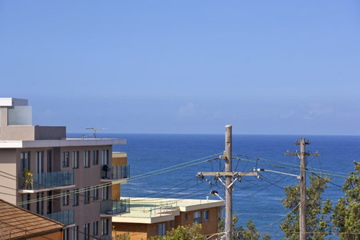 5 Wilga Street, Bondi Beach Sold by Goodyer Real Estate - image 5