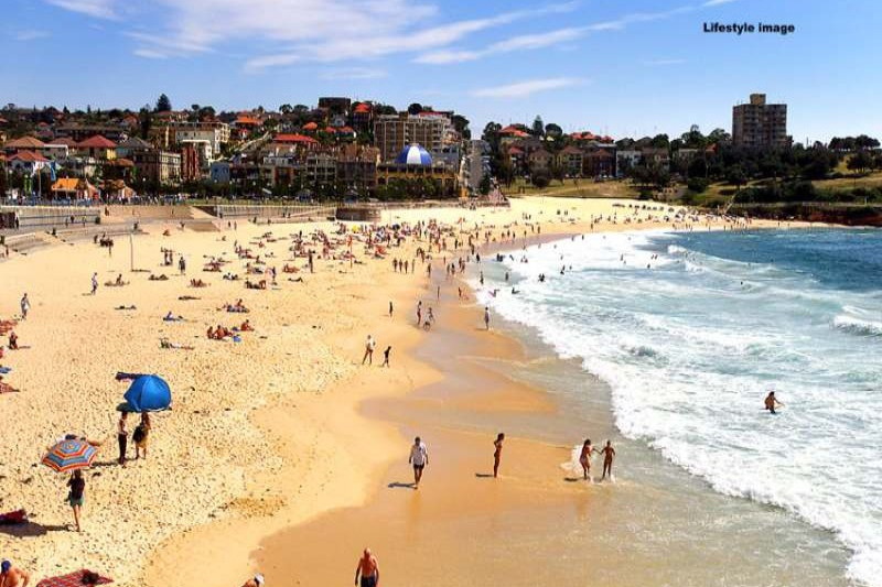 Photo #6: 238 Oberon Street, Coogee - Sold by Goodyer Real Estate