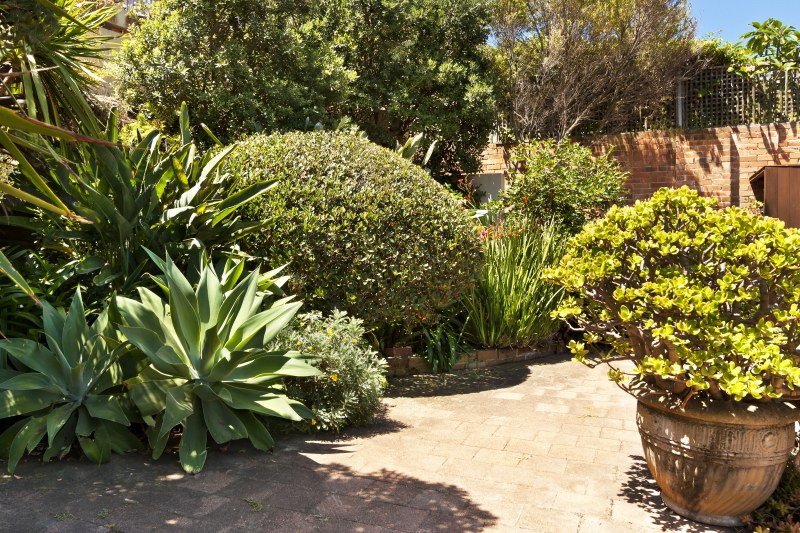 Photo #8: 13 Gaerloch Avenue, Tamarama - Sold by Goodyer Real Estate