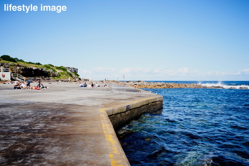 28 Shackel Avenue, Clovelly Sold by Goodyer Real Estate - image 10