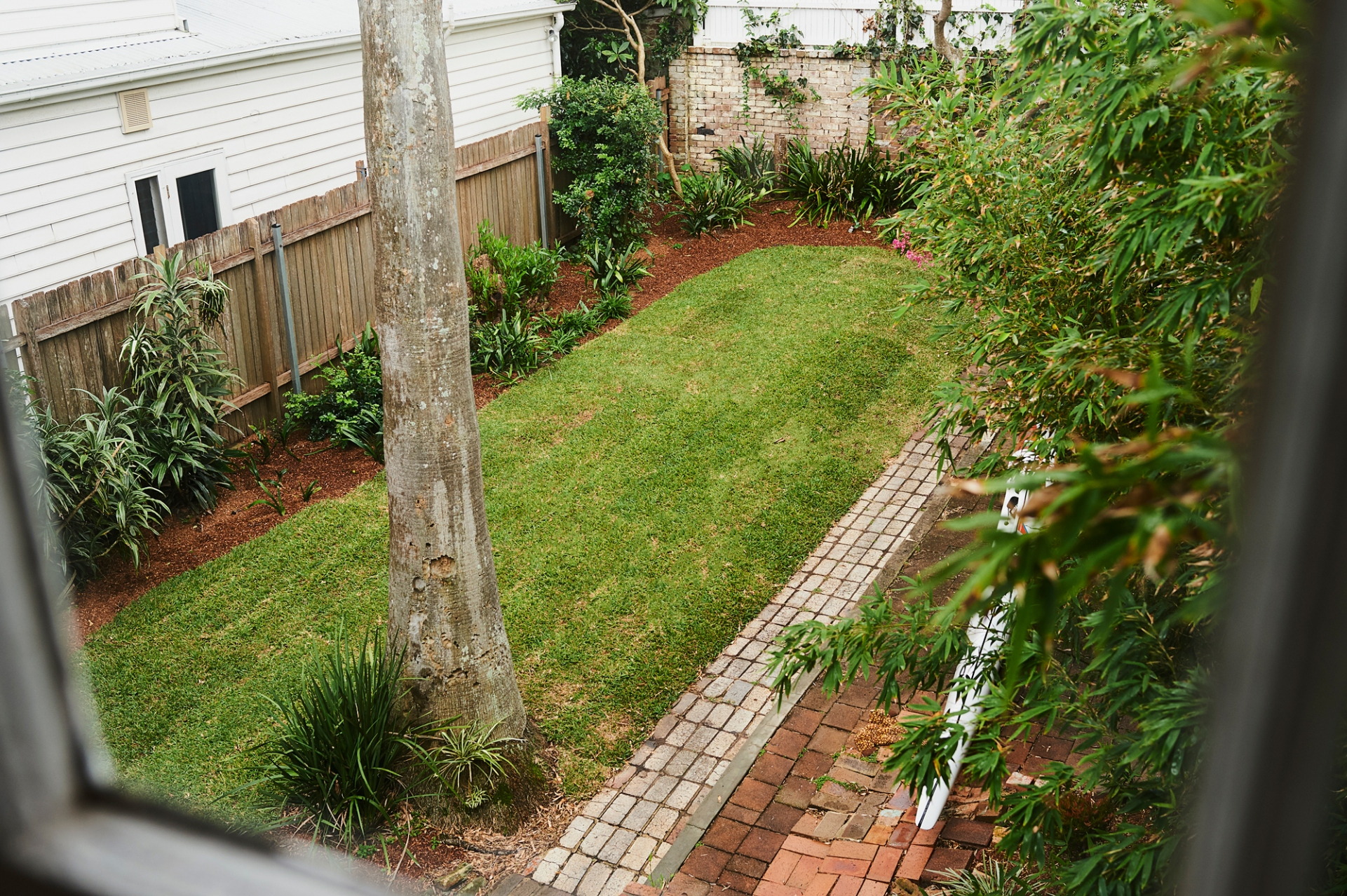 Photo #3: 13 Cove Street, Watsons Bay - Sold by Goodyer Real Estate