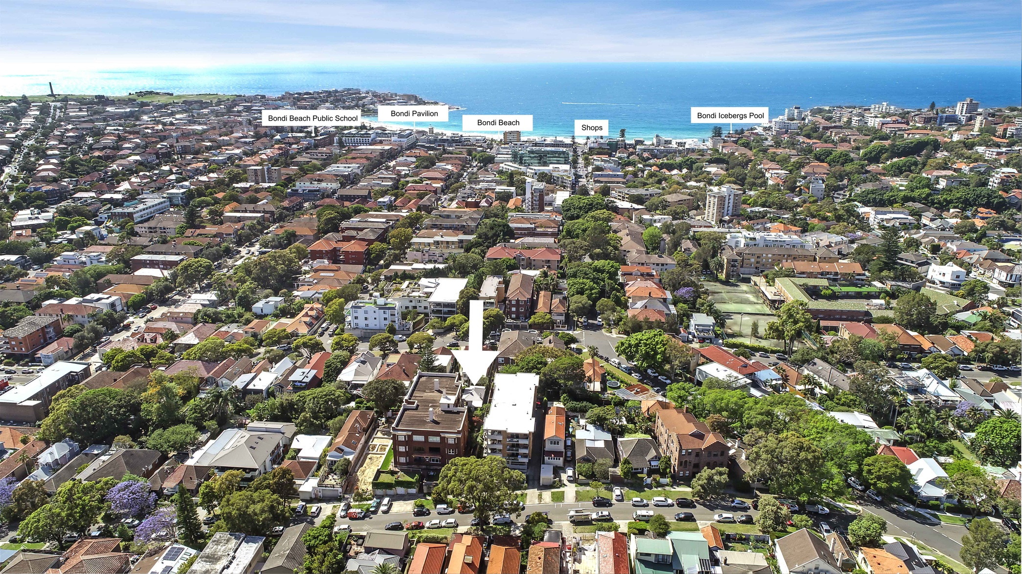 Photo #11: 13/26 Simpson Street, Bondi Beach - Sold by Goodyer Real Estate