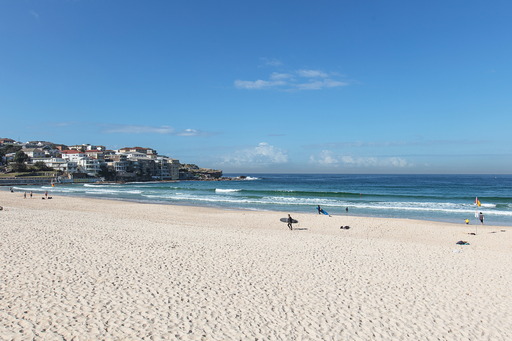 Bondi Beach Leased by Goodyer Real Estate - image 7