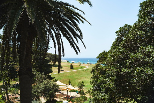 Bronte Leased by Goodyer Real Estate - image 1