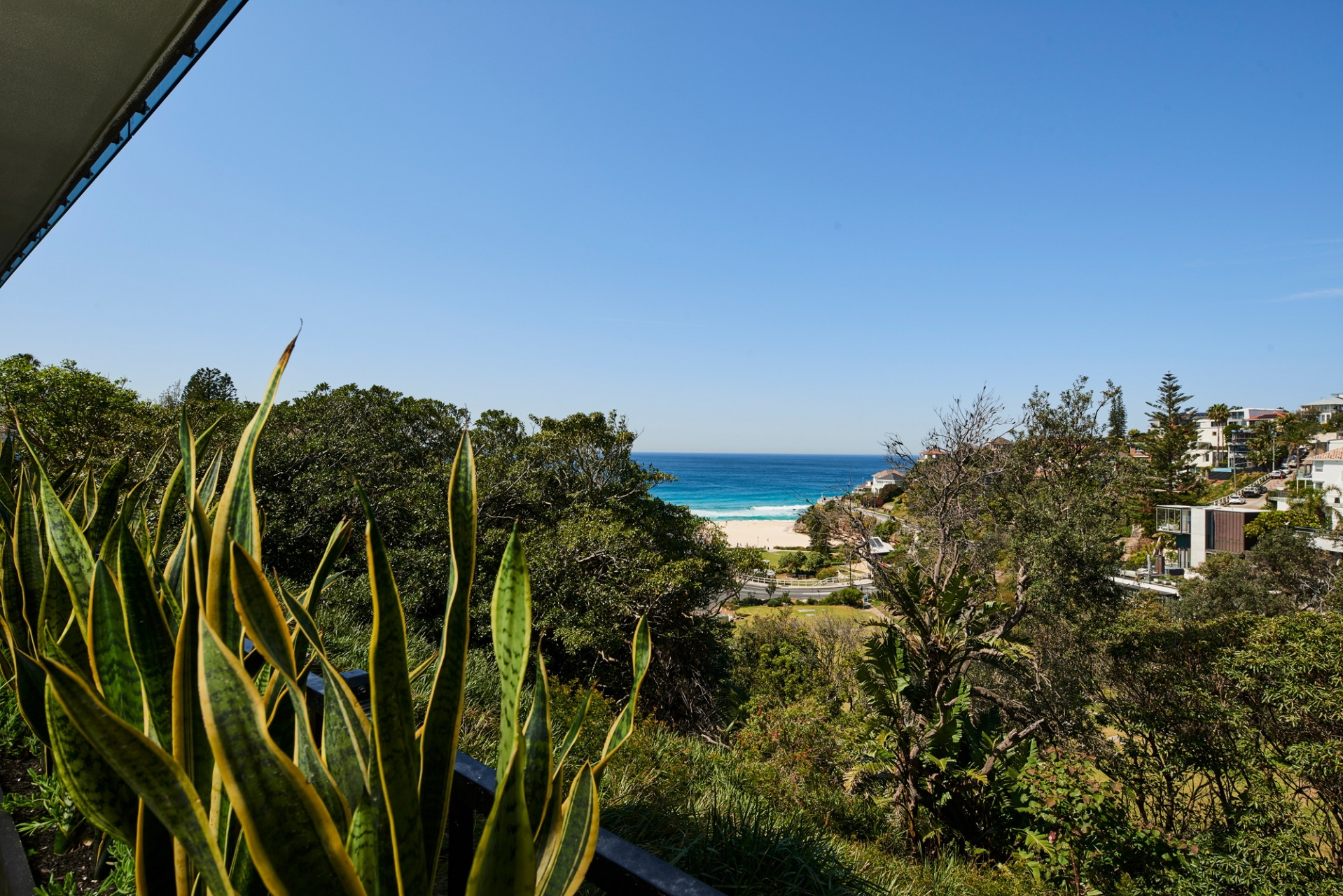 Photo #13: 10 Wonderland Avenue, Tamarama - Sold by Goodyer Real Estate