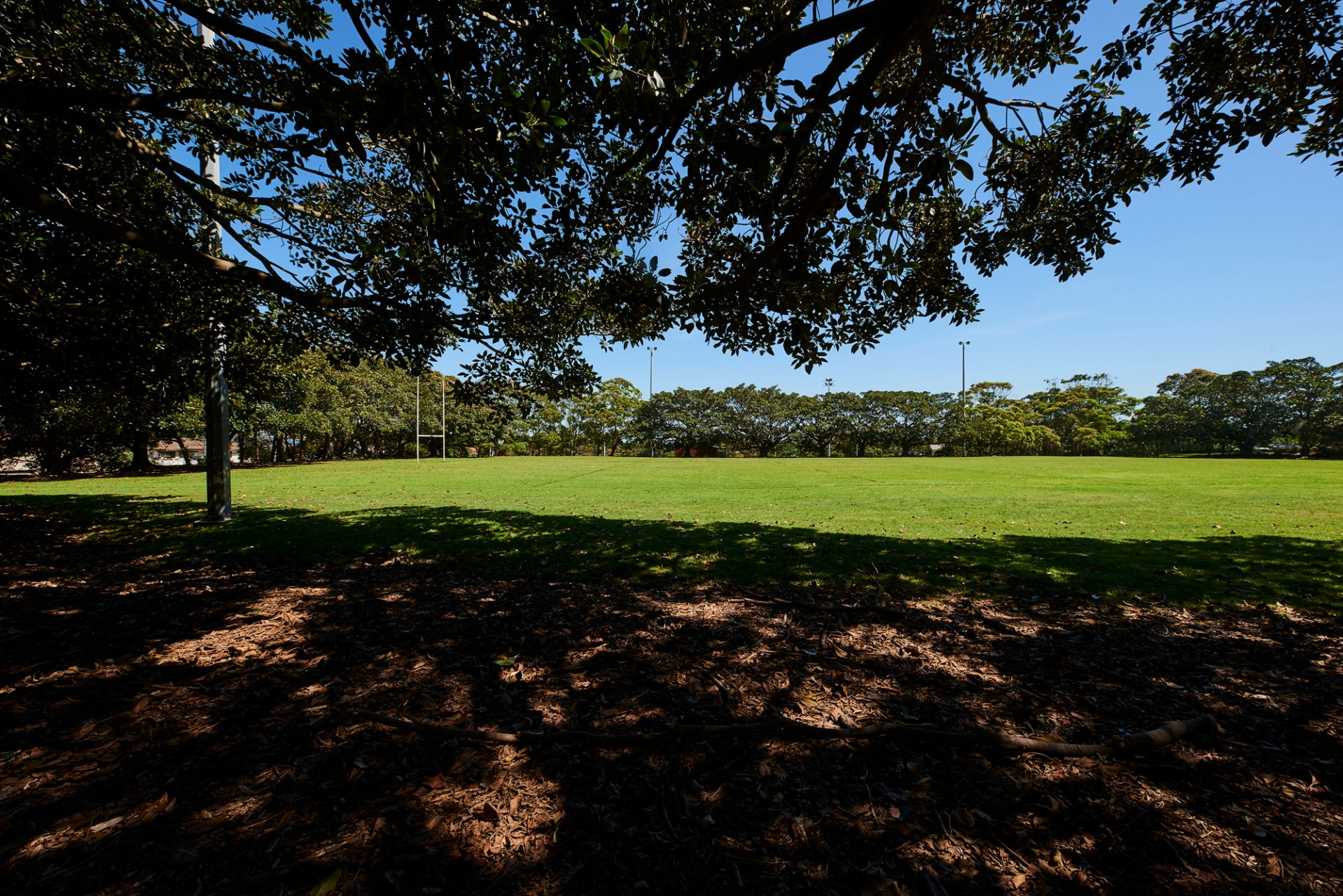 Photo #10: 60 Johnston Parade, South Coogee - Sold by Goodyer Real Estate