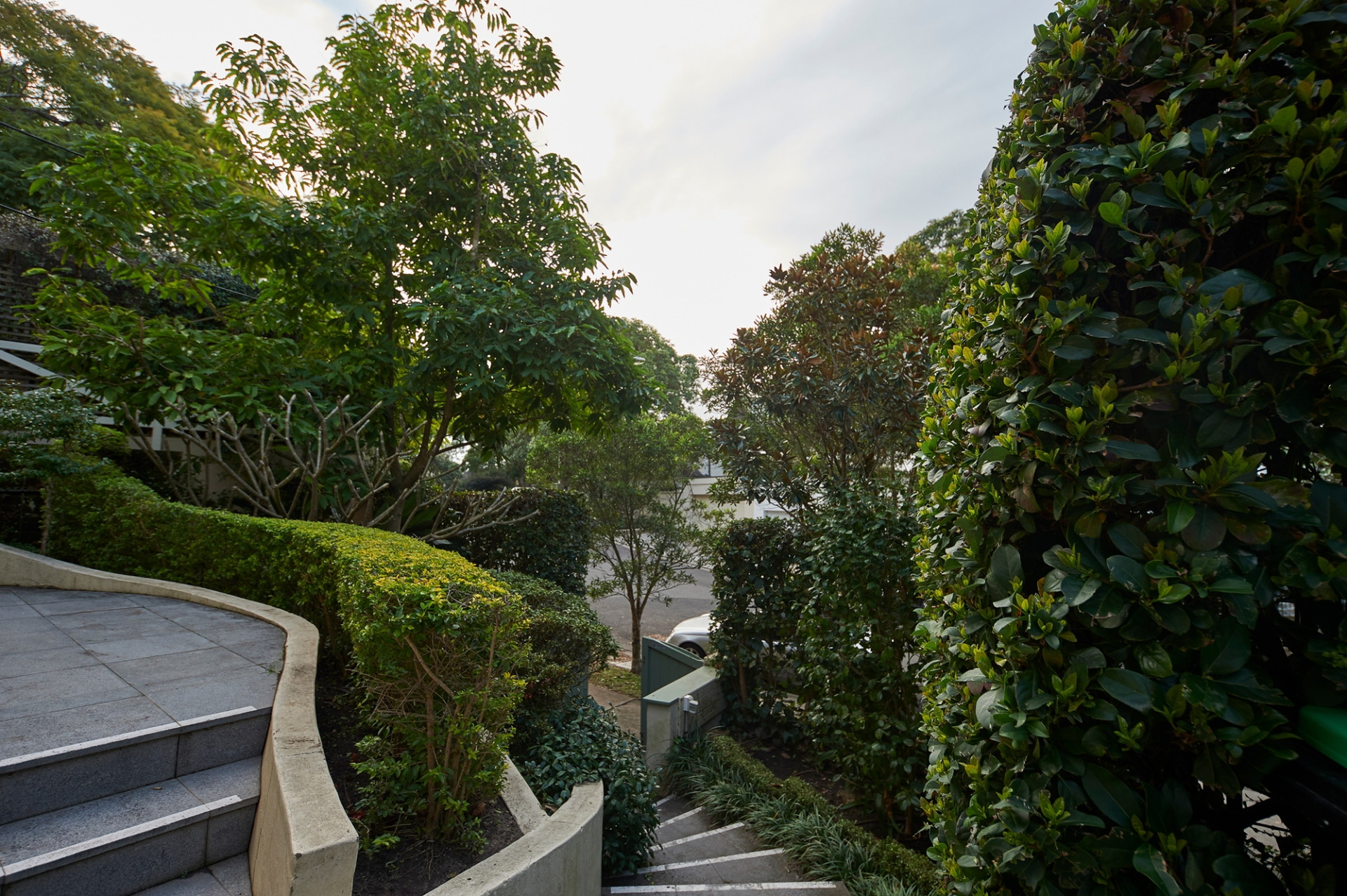 6/6 Wallaroy Crescent, Woollahra Sold by Goodyer Real Estate - image 1