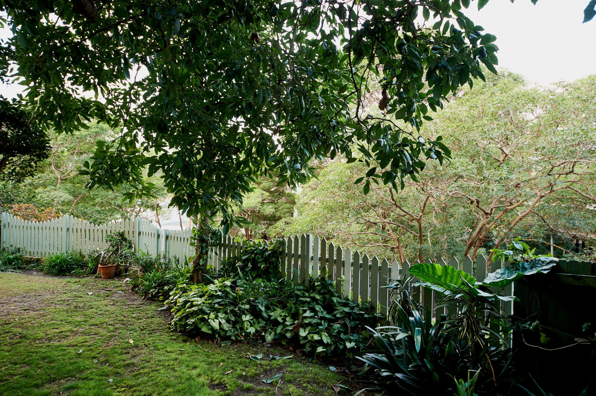 6/6 Wallaroy Crescent, Woollahra Sold by Goodyer Real Estate - image 1