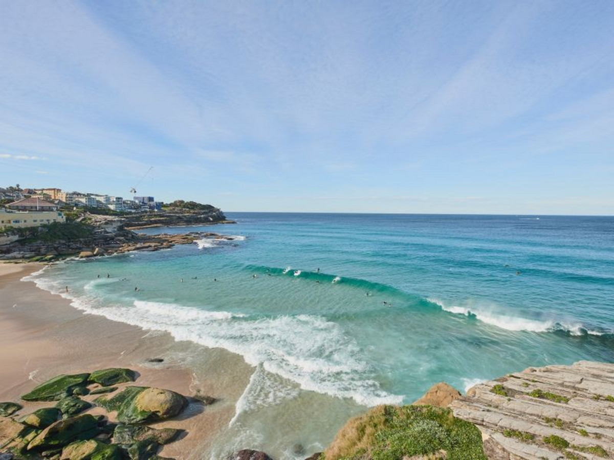 Photo #13: 22 Thompson Street, Tamarama - Sold by Goodyer Real Estate