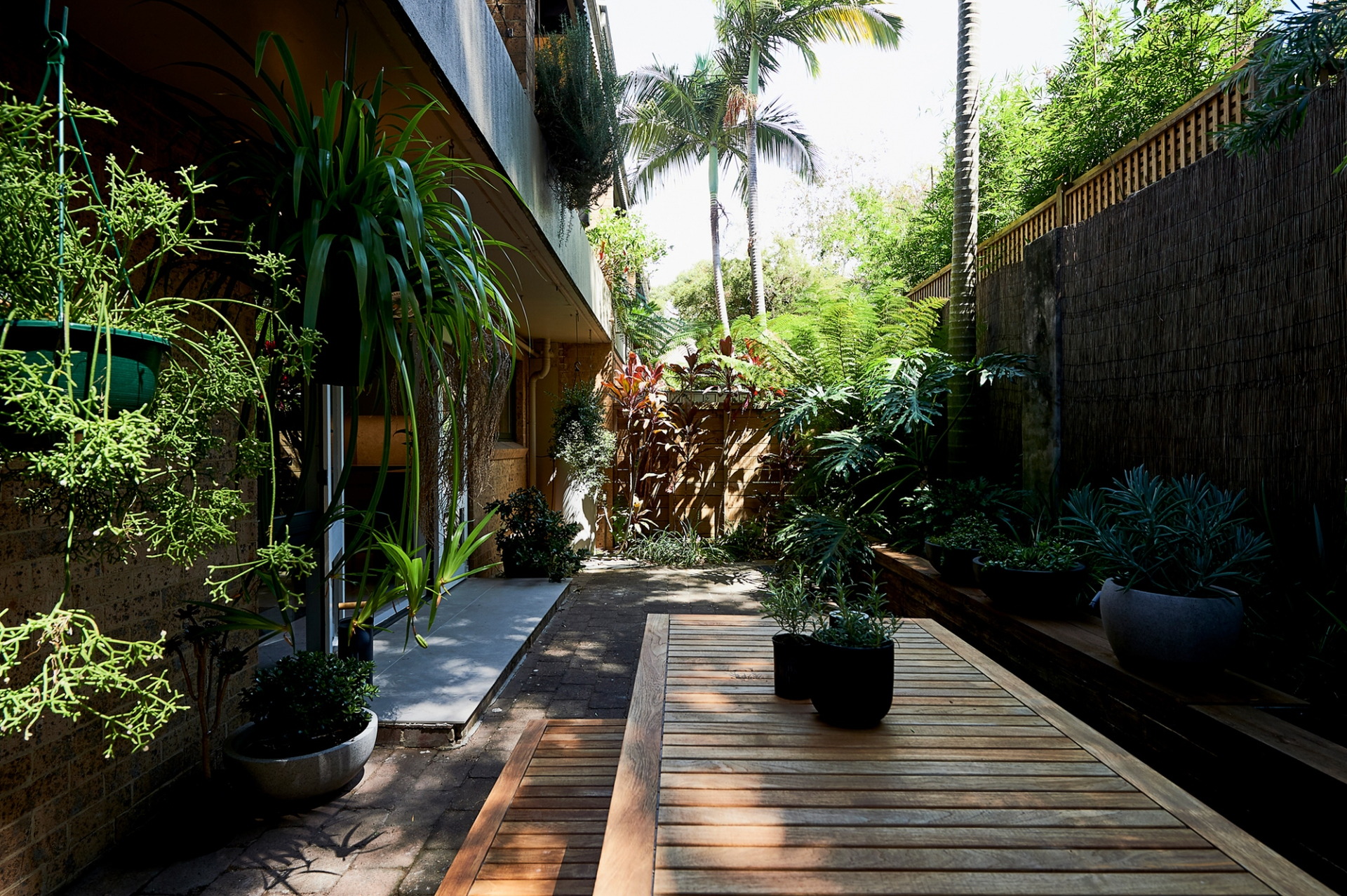 Surry Hills Leased by Goodyer Real Estate - image 1
