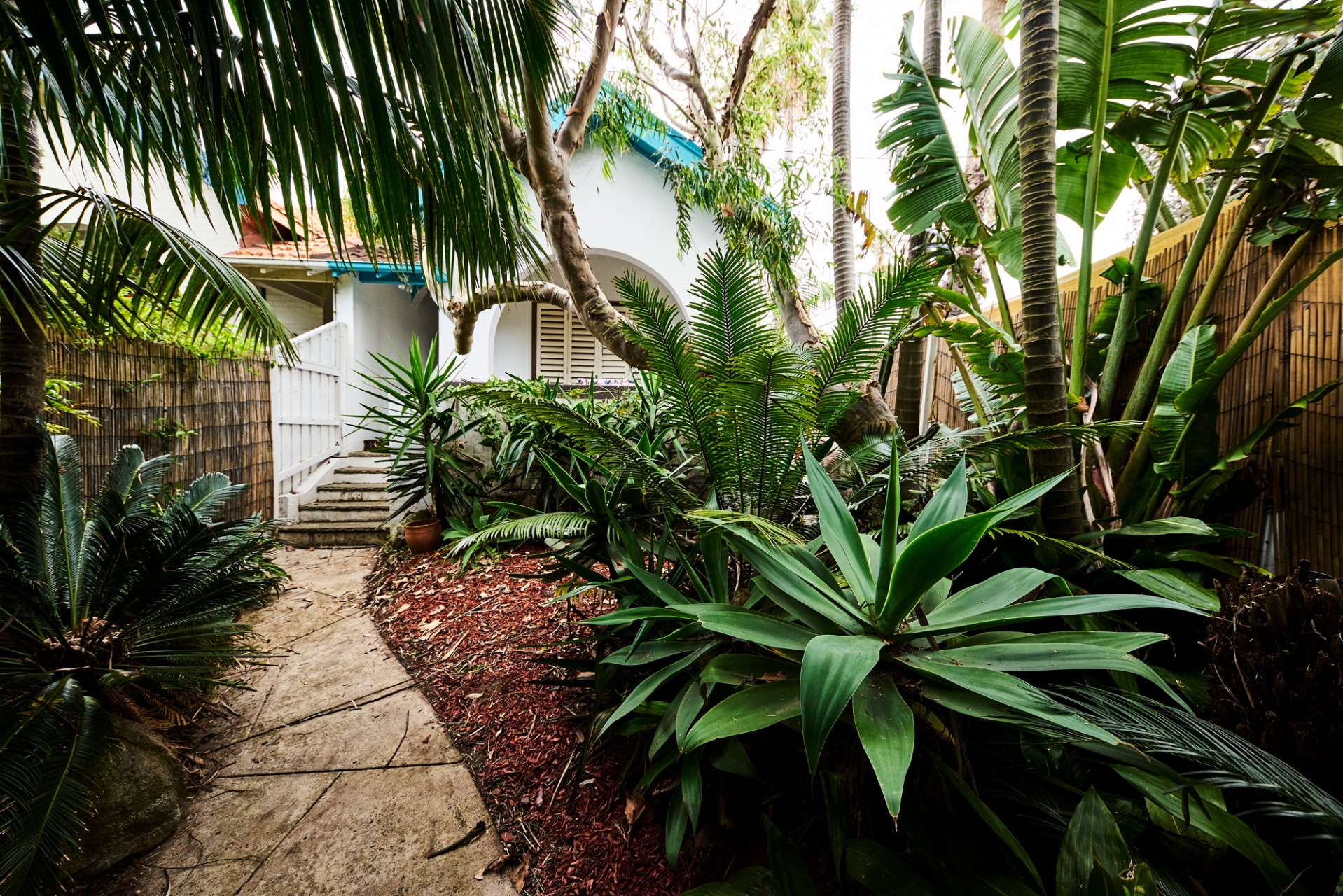 Photo #2: 1 Wilga Street, Bondi Beach - Sold by Goodyer Real Estate