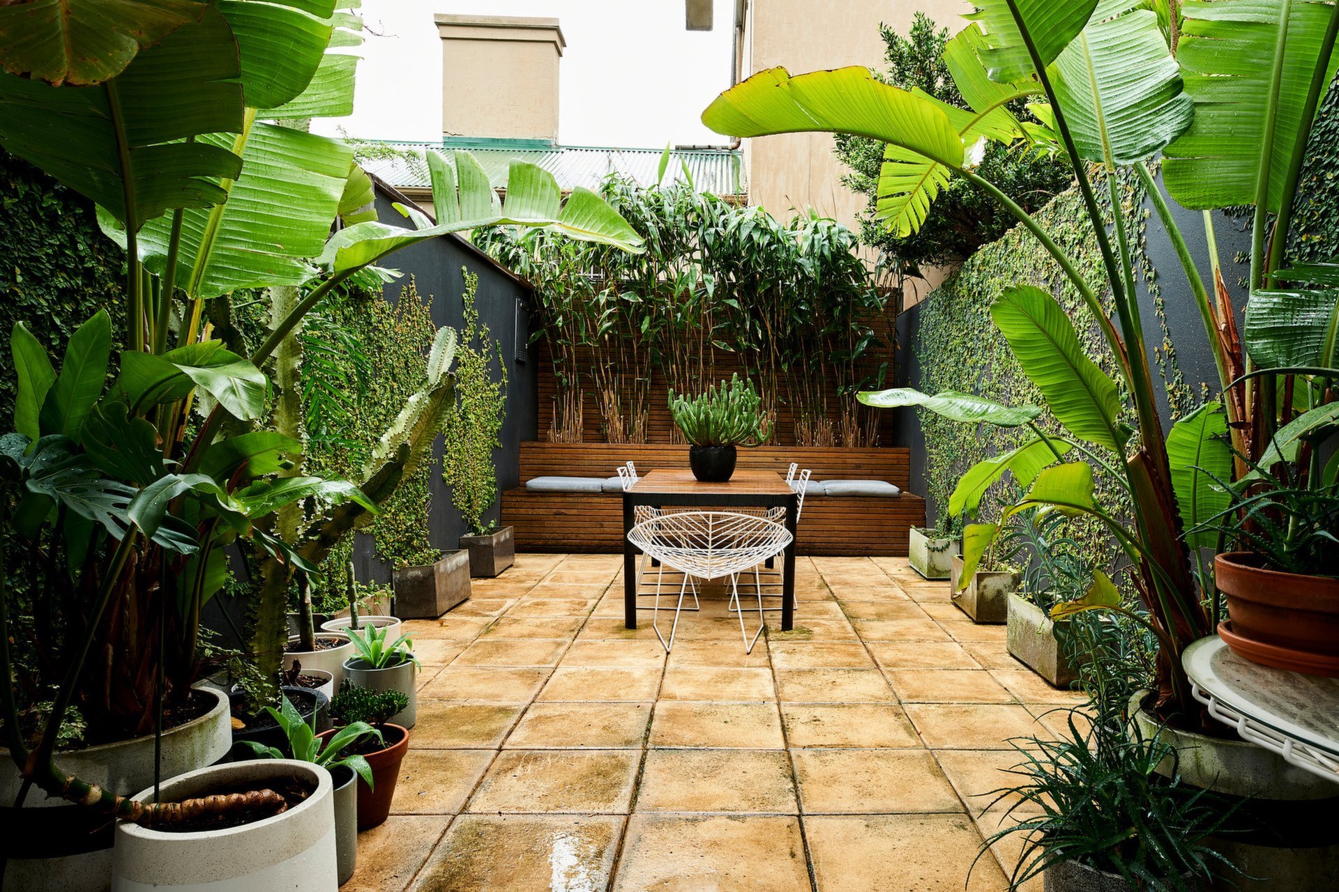 Photo #6: Paddington - Leased by Goodyer Real Estate