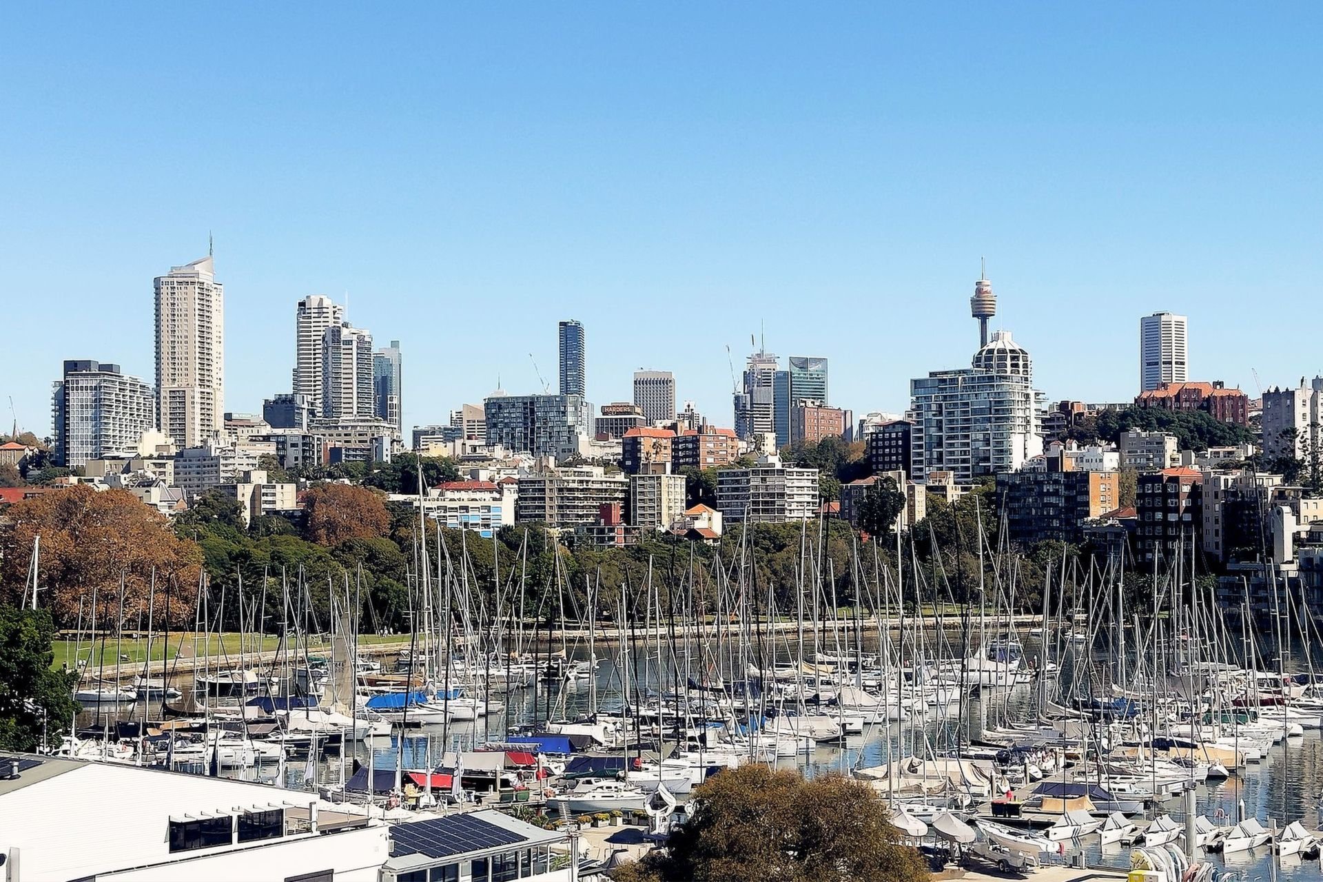 Photo #12: 21/2 Annandale Street, Darling Point - Sold by Goodyer Real Estate