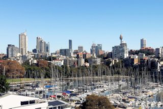 21/2 Annandale Street, Darling Point Sold by Goodyer Real Estate - image 12