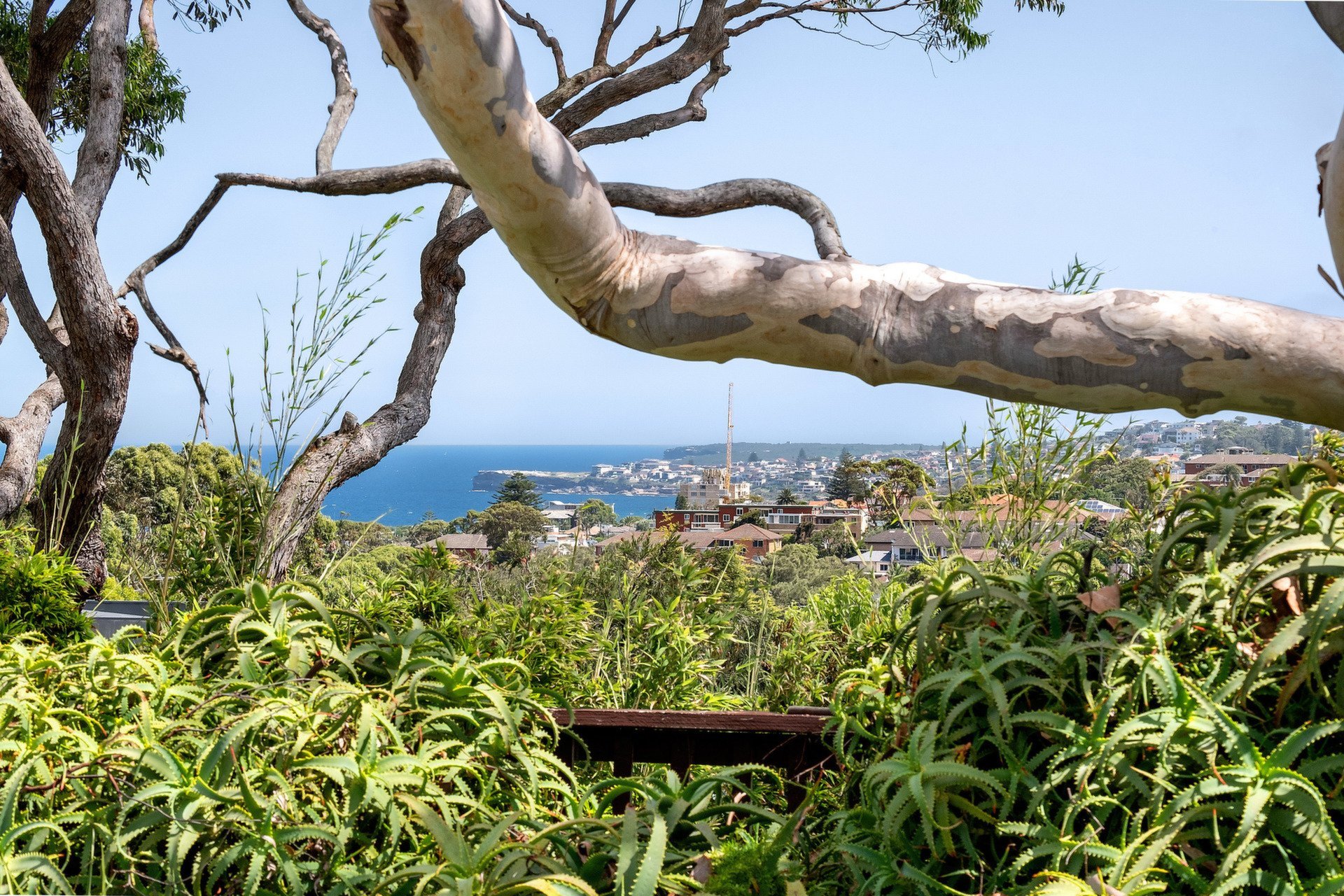 Photo #1: Waverley - Leased by Goodyer Real Estate